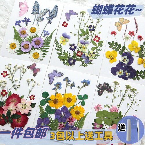 厂家直销干花压花材料包标本 押花书签滴胶手机壳手工diy贴脸妆