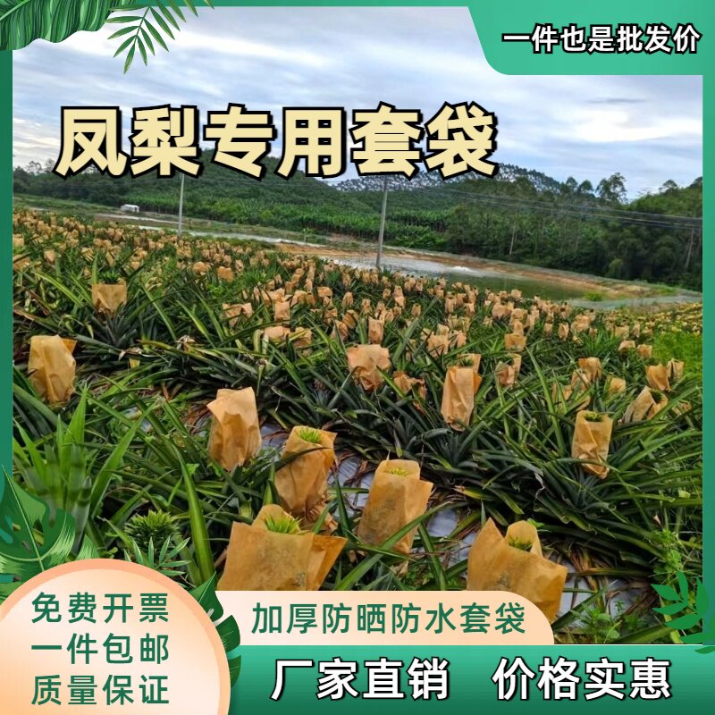 凤梨加厚套袋菠萝专用袋黄梨纸袋无眼菠萝果袋旺梨水果防晒保护袋