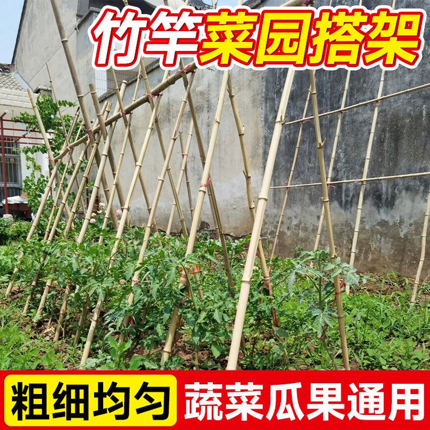 竹竿园艺搭架不伤藤蔓爬藤定型