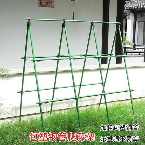 阳台种菜包塑钢管爬藤支架