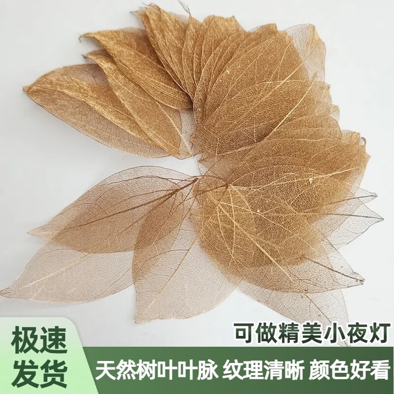 天然叶脉书签学生手工材料树叶脉干花DIY材料标签贴画标本创意