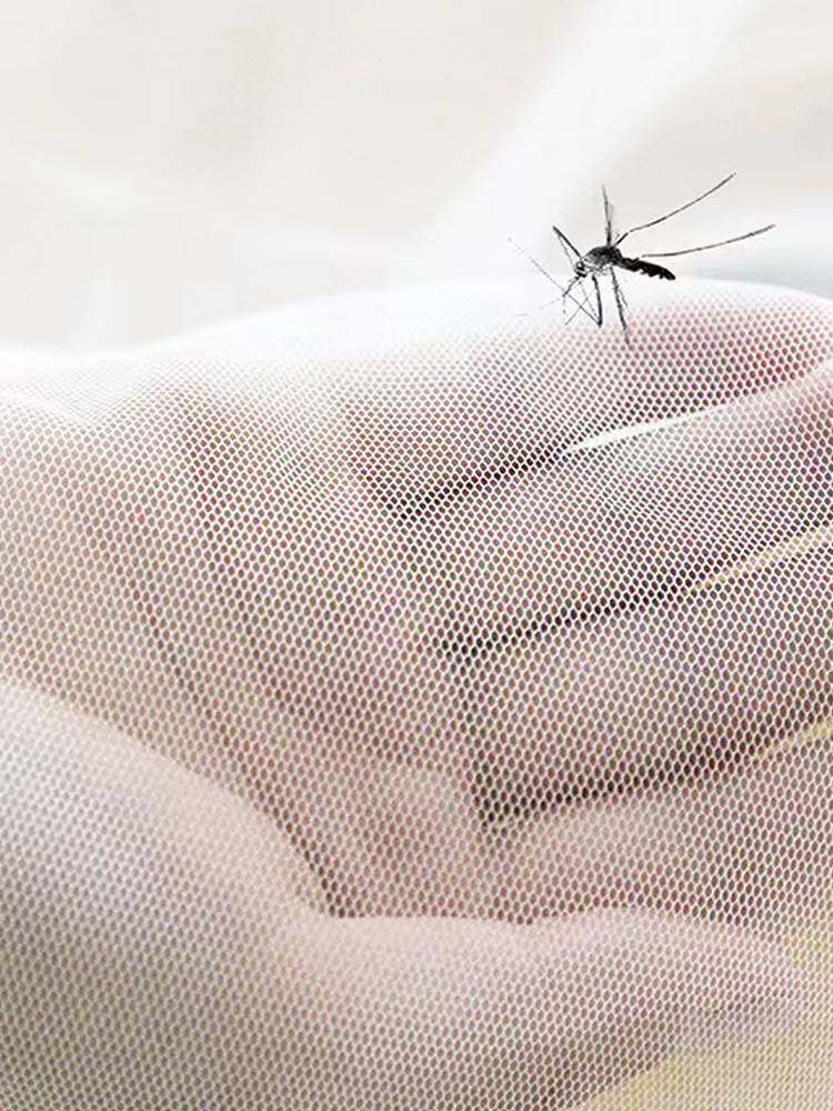 头部蚊帐睡觉专用头部工地帐防蚊头罩头简易面部可折叠小旅行出差