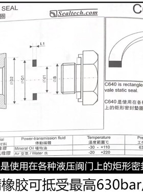 内压外压静密封C628 C629 C640B C661 C662定做阀门垫圈司达行油