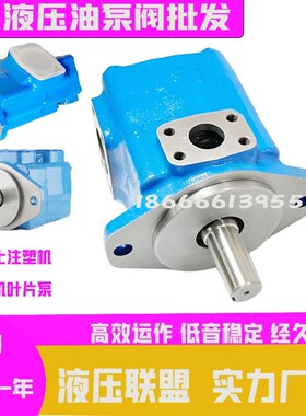 打包机油泵4535V压铸机叶片泵3525V船用液压泵2520V/4525V/3520V