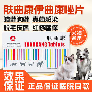 肤曲康伊曲康唑片猫咪真菌猫藓狗狗皮肤病内服药宠物皮屑细菌感染