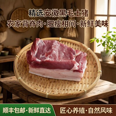 皖南农家黑毛土猪肉背脊肉带肥肉的大里脊肉4斤装