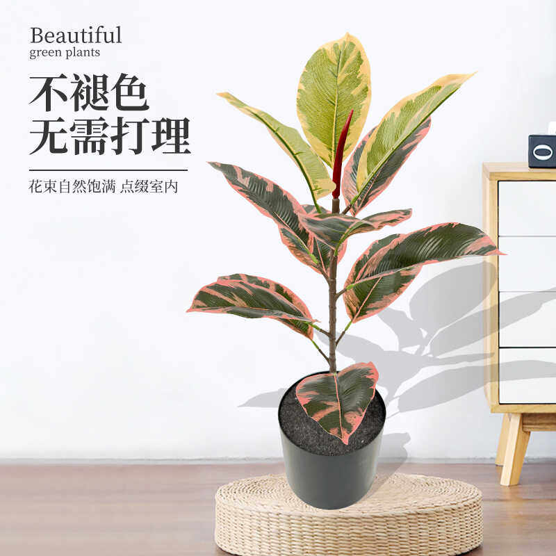 油画橡皮树仿真绿植ins风客厅落地摆件桌面室内直播摄影人造植物