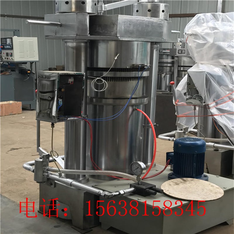 大型立式芝麻榨油机 全r自动液压榨油设备 韩式芝麻香油机价格