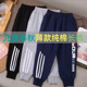 夏季 儿童长裤 中小童防蚊裤 透气纯棉料男女童运动裤 学生校服薄裤 子