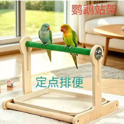 鹦鹉站架定点排便拉屎神器牡丹