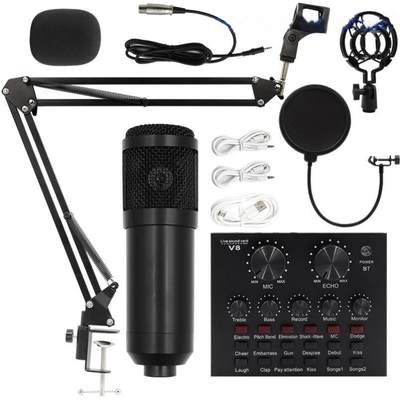 other E3Bm800 condenser microphone + V8 sound card computer