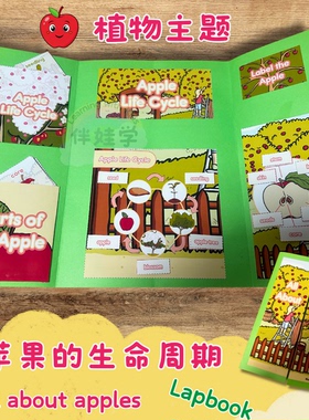 Apple苹果生命周期Plant植物Lapbook小学英语启蒙翻翻书材料教具