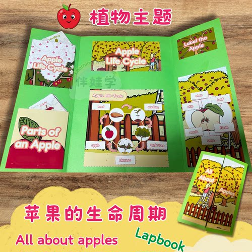 Apple苹果生命周期Plant植物Lapbook小学英语启蒙翻翻书材料教具