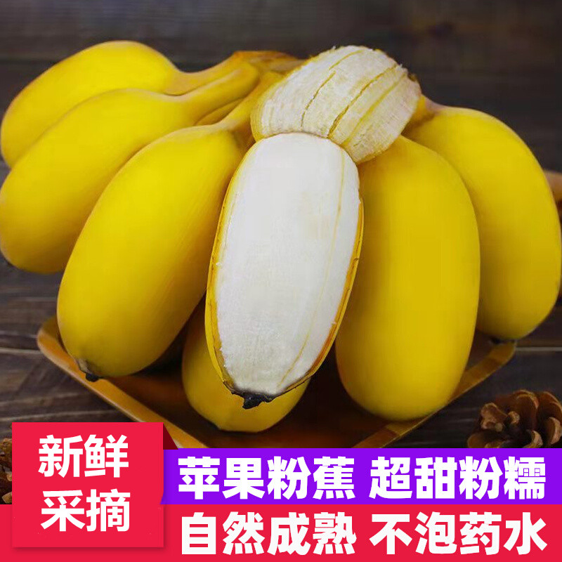 广西现货苹果蕉正宗新鲜9斤