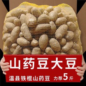 河北新鲜铁棍山药豆5斤当季现摘