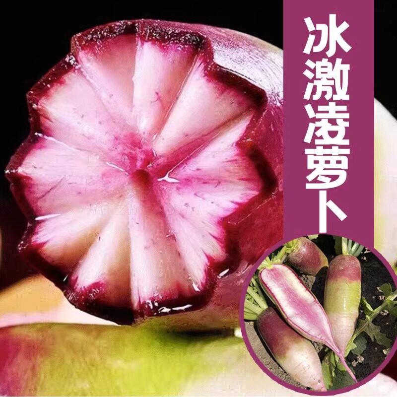 冰淇淋冰糖心萝卜9斤水果萝卜新鲜生吃冰激凌萝卜心里美紫皮现挖1