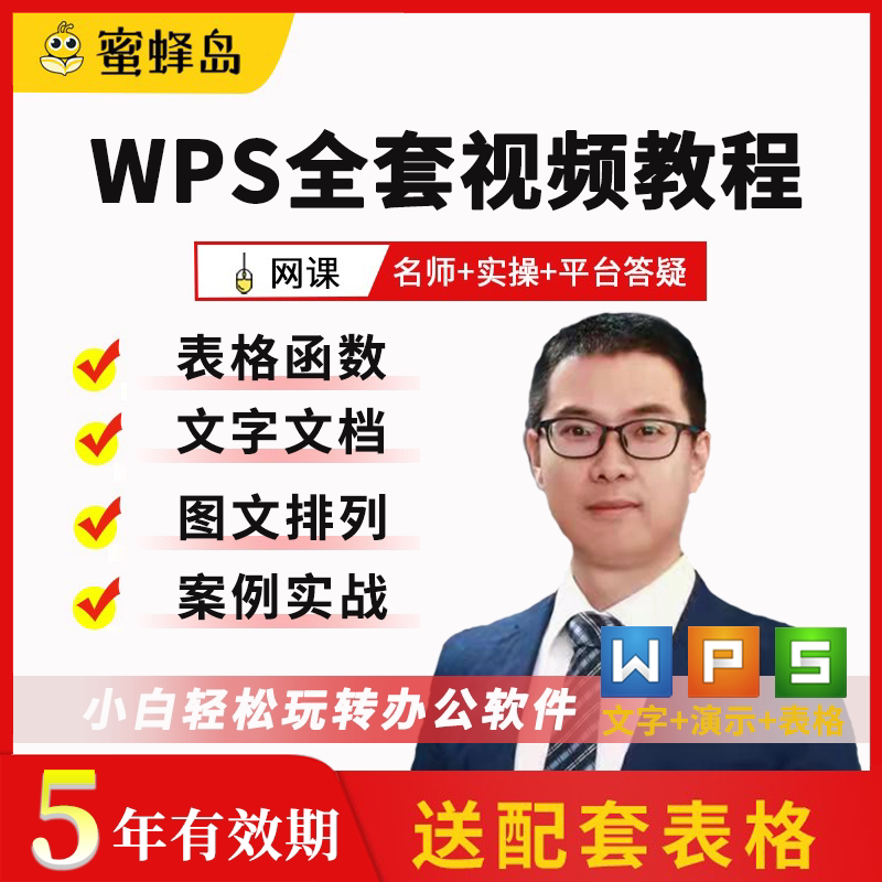 WPS零基础教程excel表格Word文档PPT制作办公软件office视频网课
