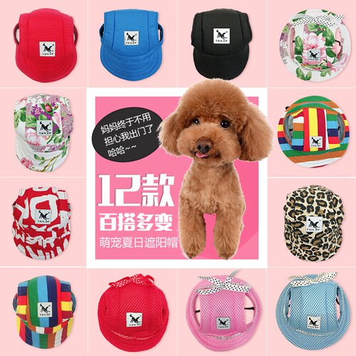 狗狗的帽子价格 狗狗的帽子图片 星期三