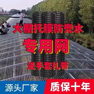 大棚防兜水网放风口积水防雨雪小孔塑料网格网拖膜防鸟网鱼塘果园