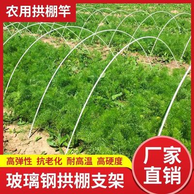 小拱棚支架拱杆骨架玻璃纤维杆