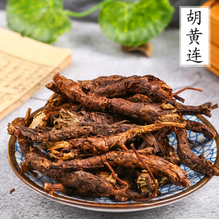 中药材店铺 胡黄莲精选 散装 胡连 草药材 冷背中药材