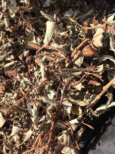 木莲藤 霹雳果藤 木馒头藤散称爬山虎 藤根叶切碎