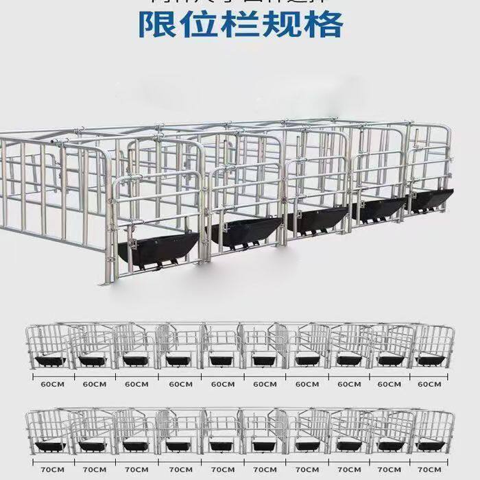 镀锌管落地式定位栏猪床简易养猪定位栏加厚猪用定位栏限位栏新款