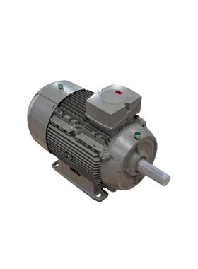 工业配件1LE1003-1DC43-4AB4-Z 低压电机 11KW 980RPM