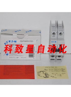 工业配件FAZ-B1/2-RT 1A B 2POL 480Y/277VAC微型断