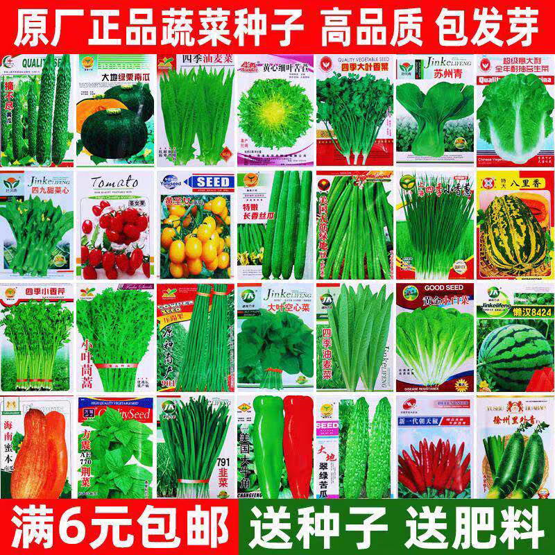 四季蔬菜种子大全家庭菜园盆栽种植萝卜白菜夏秋瓜果蔬菜种籽种孑图片