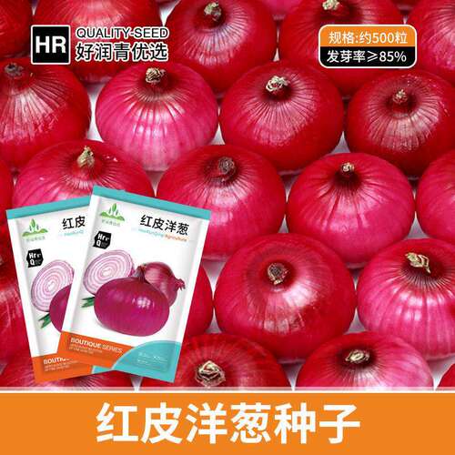 Red onion seeds, round onion seeds, scallion heads, purple