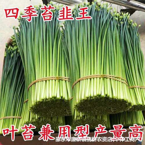 A complete list of leek seeds, leek king leek, leek moss, f