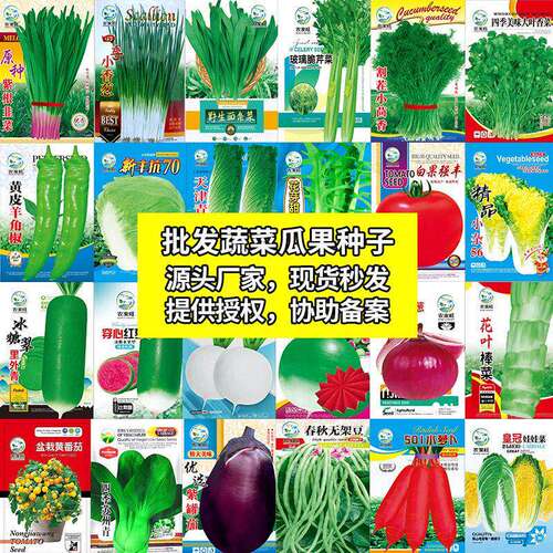 Wholesale of Four Seasons Spring and恤Summer Vegetable Seeds