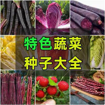 Complete Collection of Featured High Quality Vegetable Seed