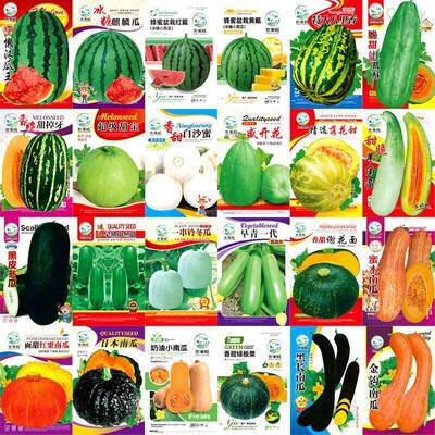 Vegetable seeds, green, southwest, white rice, beans, chili