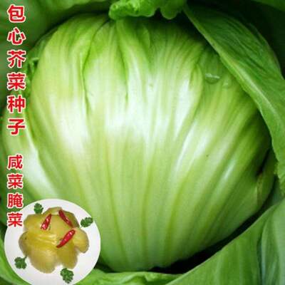 Baoxin Mustard Seed Cabbage Mustard Water Salted Vegetable