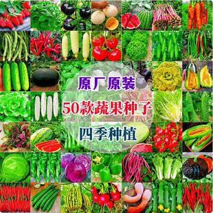Vegetable seeds sown throughout the year, potted plants, ba