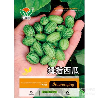 Thumb watermelon seeds, small watermelons, mini vegetables