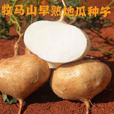 Delicious fruits, sweet potatoes, seeds, vegetables, cold p