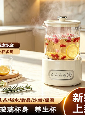 养生杯小型办公室插电电热杯