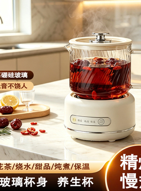 全玻璃养生壶小型煮茶器花茶壶