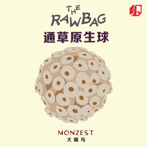 通草原生球-MONZEST大嘴鸟(虎皮玄凤鹦鹉天然啃咬磨嘴解压玩具）