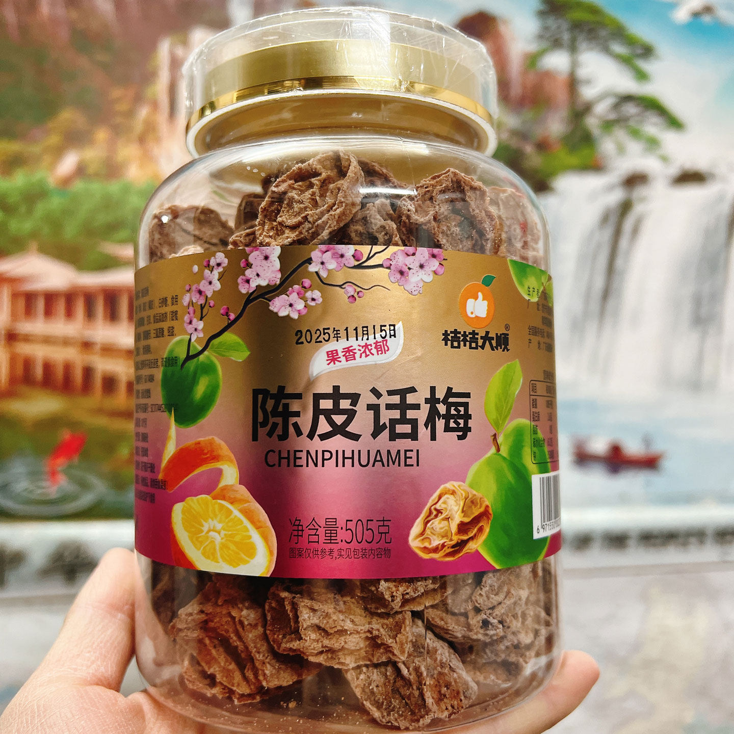 潮汕特产陈皮话梅休闲话梅果干蜜饯果脯青梅解馋办公室酸零食大瓶