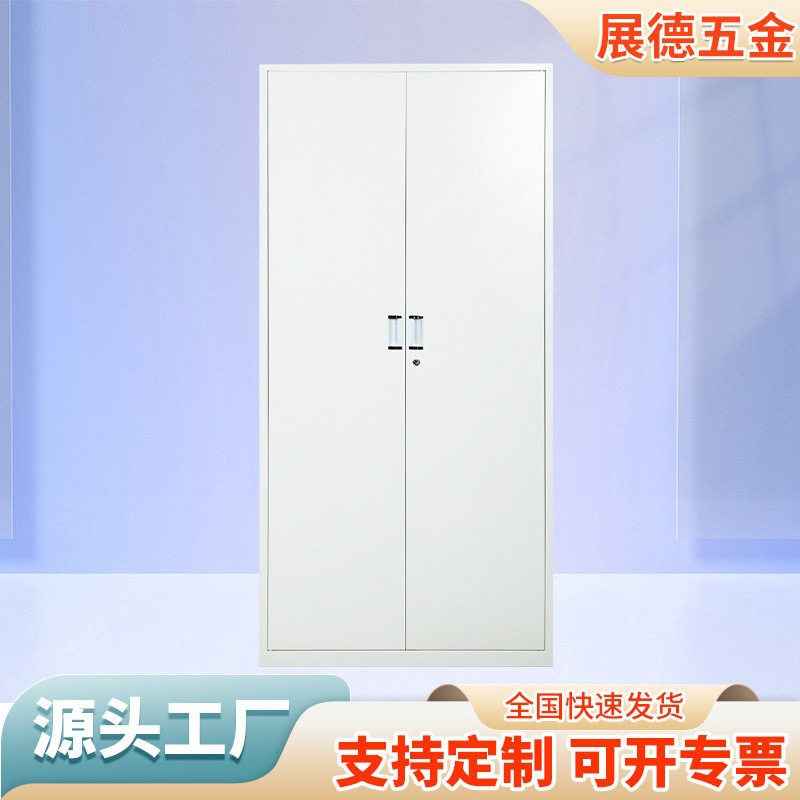 加工定制对开门文件柜 带锁铁皮办公资料档案储物柜文件整理柜