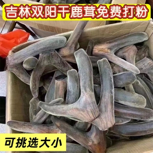 鹿茸粉梅花鹿鹿茸整枝干鹿茸吉林鹿茸片蜡片红粉片吉林双阳鹿乡