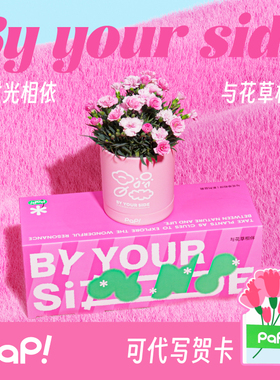 【母亲节礼物】PAP与花相伴康乃馨盆栽礼盒室内鲜货花卉植物