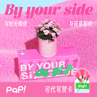PAP与花相伴康乃馨盆栽礼盒室内鲜货花卉植物 母亲节礼物