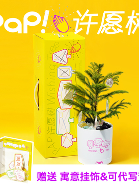 【新年礼物】pap许愿树南洋杉盆栽礼盒水晶能量儿童闺蜜朋友生日