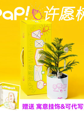 pap许愿树盆栽礼盒创意礼物