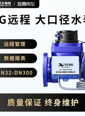 施王物联大口径水表DN50DN100法兰远程控制4G智能非阀控高精度